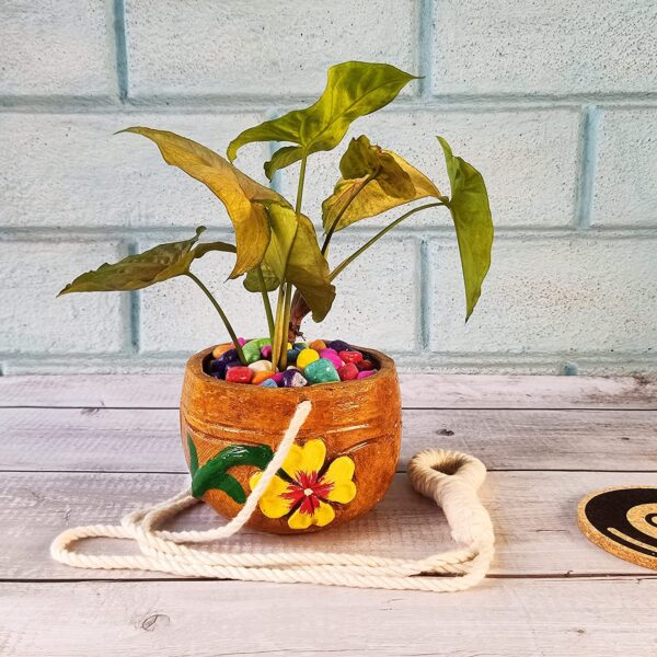 Hanging Terracotta Planter Pots